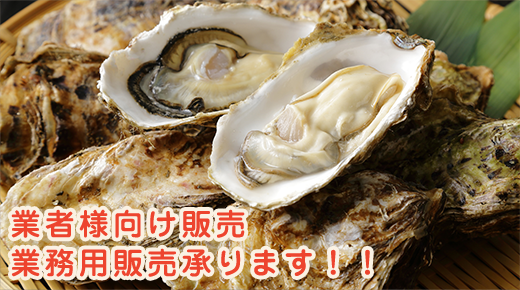 業者様向け販売 業務用販売承ります！
