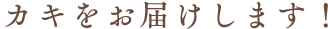 カキをお届けします！